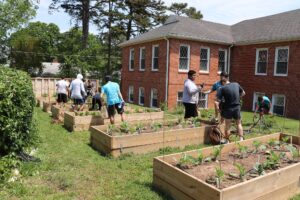 Live United Day Volunteers