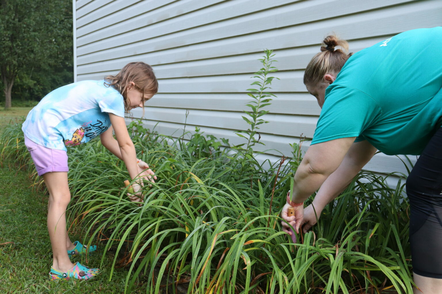 making-a-greater-impact-on-residents-in-union-county-united-way-of